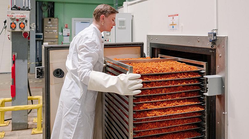 Ferment-Up upcycles discarded fruit and vegetable skins and seeds into nutritious ingredients.