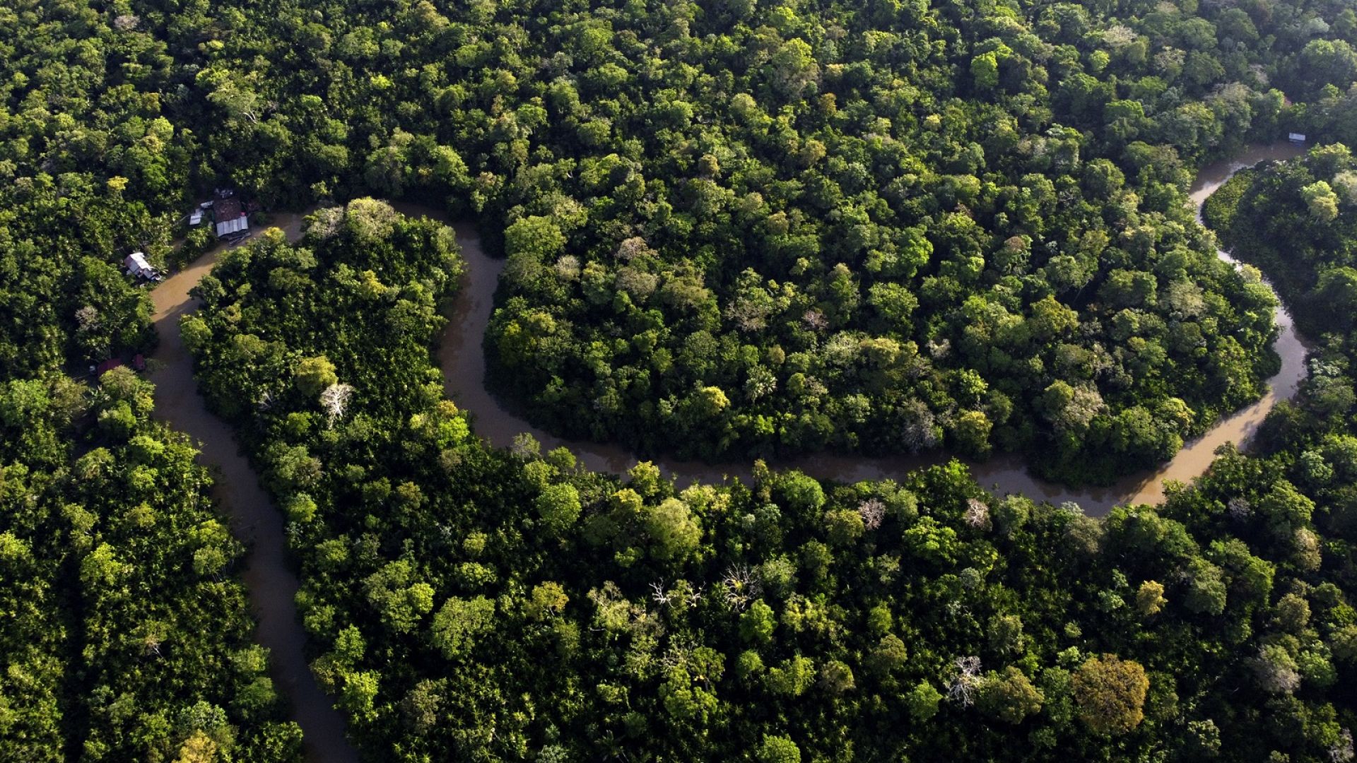 EU Commission delays deforestation law’s implementation following ...
