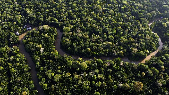La Commissione europea rinvia di un anno la legge sulla deforestazione dopo le proteste dei partner globali