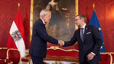 Austrian president van der Bellen meets with far-right FPÖ leader Herbert Kickl.