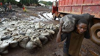 USA : le cobalt de RDC inscrit sur la liste des produits du "travail d'enfants"