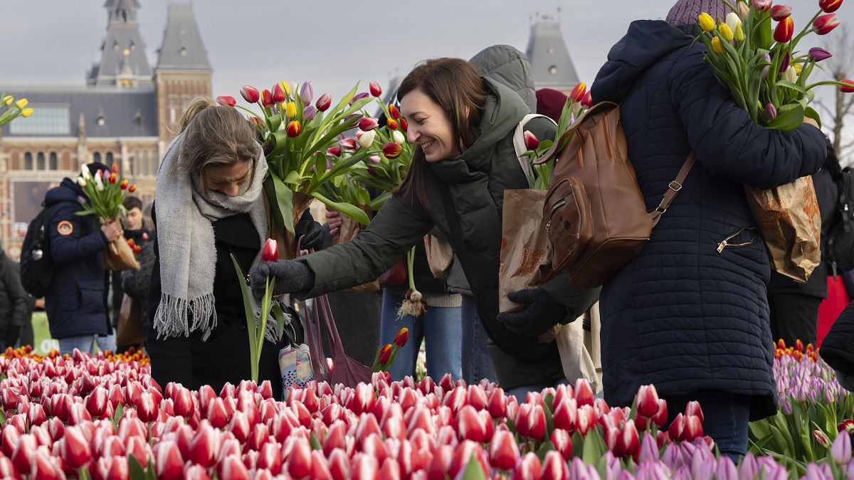 Where have all the flowers gone? UK border controls stem supplies