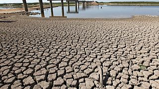 World's rivers experience driest year in over 3 decades