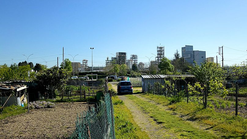 La préfecture du Rhône conseille aux habitants de ne pas consommer les produits de ce potager à Pierre-Bénite.