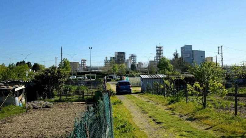 Οι τοπικές αρχές έχουν ζητήσει από τους πολίτες να μην καταναλώνουν την παραγωγή από αυτόν τον λαχανόκηπο στο Pierre-Benit