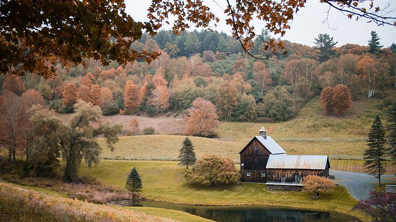 Autumn in Vermont, US, judged the safest place to live during the climate crisis. 