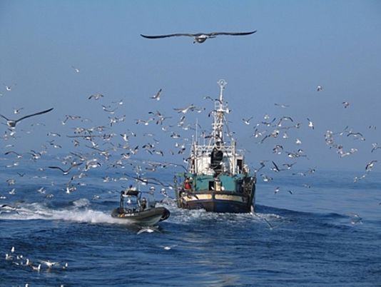 Barco pesquero español. 