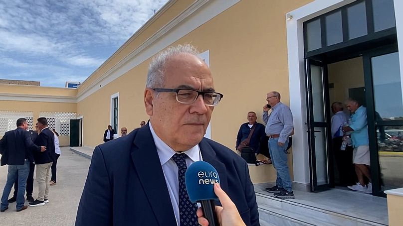 Dimitris Emmanouloudis, Professeur d'hydrologie