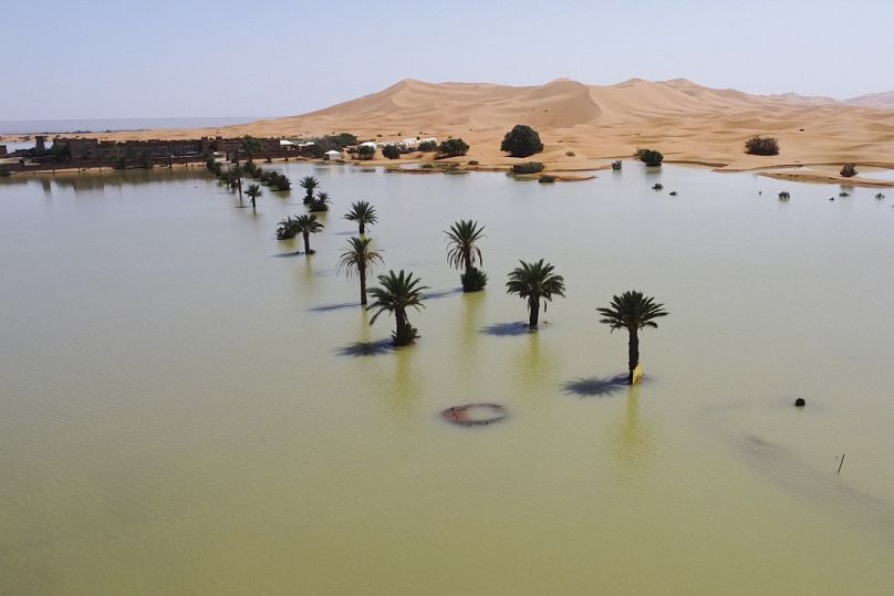 هطلت أمطار غزيرة على الصحراء الواقعة جنوب شرقي المغرب