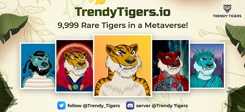 Trendy Tigers promised to "integrate the Metaverse and the real world" with their NFT launch