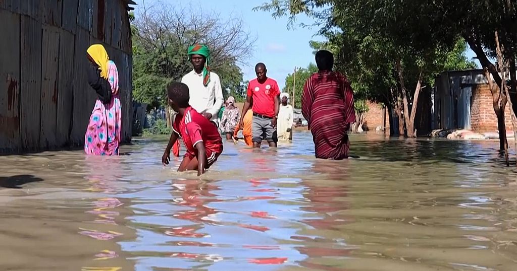 About 1.9M impacted by floods in Chad as all 23 provinces hit