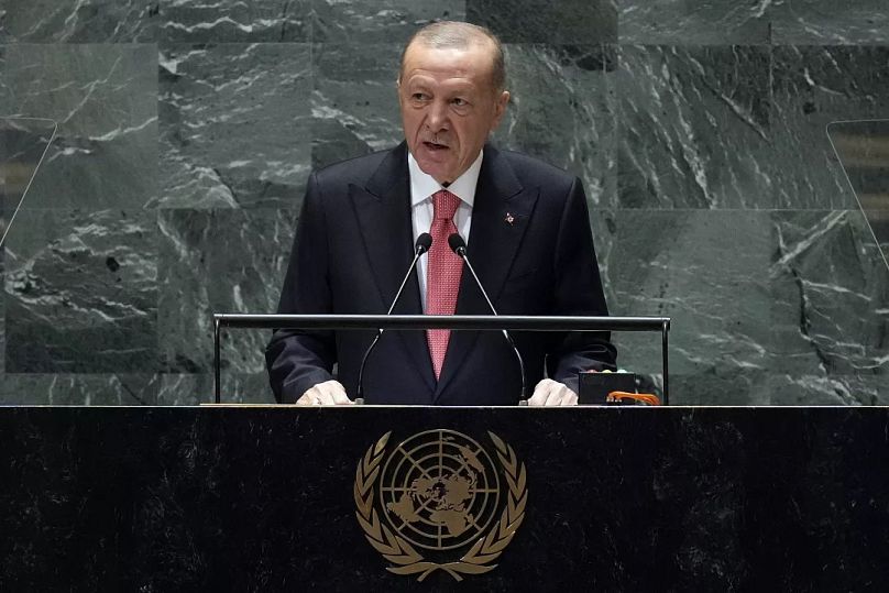 الرئيس التركي. رجب طيب أردوغان