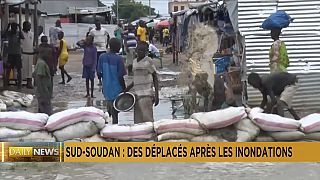 Soudan du Sud : les inondations font de nombreux déplacés