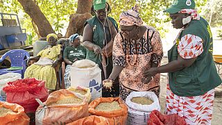 Women entrepreneurs face financing hurdles in agriculture, FAO program offers solutions