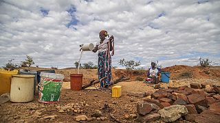 Afrique australe : 5 pays en état de catastrophe nationale dû à la sécheresse