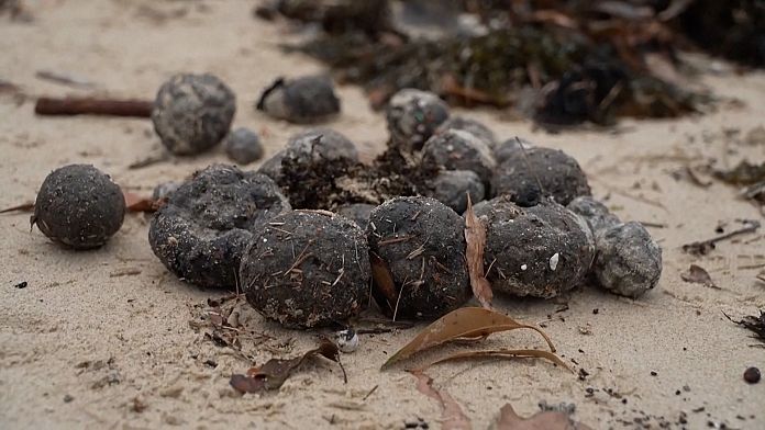 No Comment : pollution aux mystérieuses boules noires à Sydney