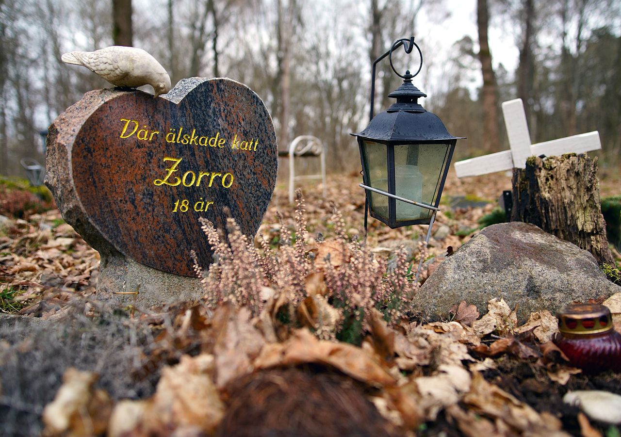 A pet grave at a cemetery in Stockholm, Sweden.
