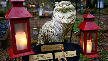 A pet cemetery in Helsinki, Finland. 