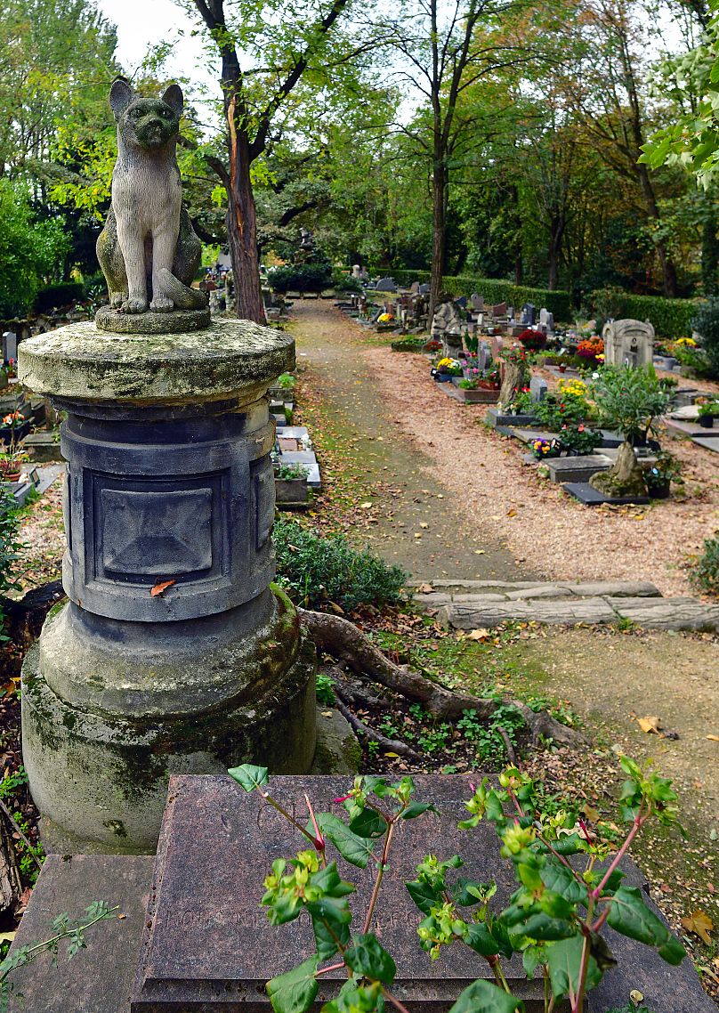 Il famoso Cimetière des Chiens et Autres Animaux Domestiques a Parigi, Francia