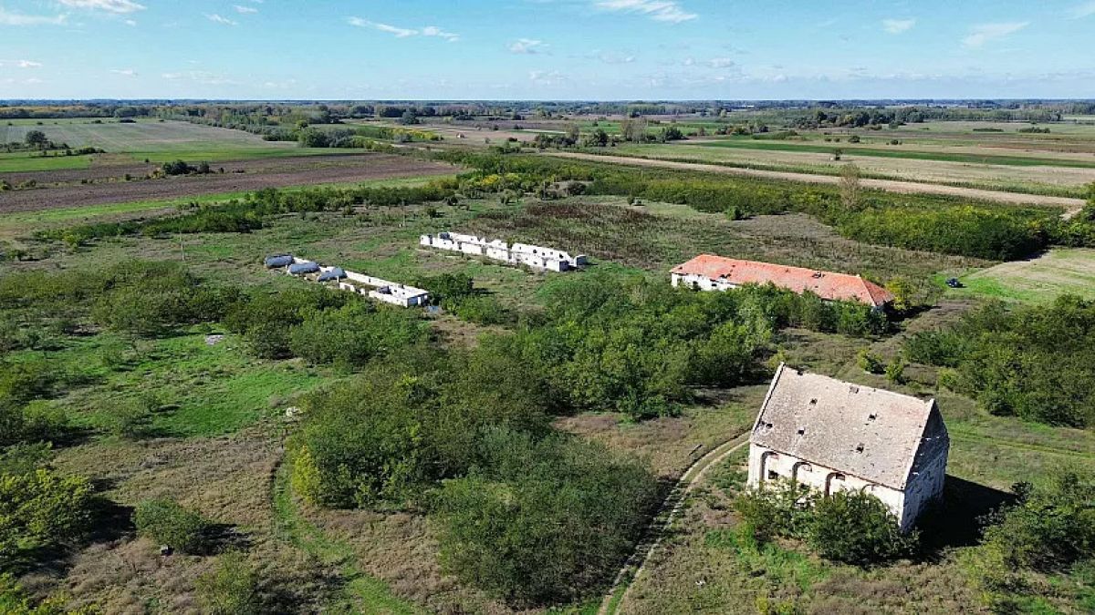 Serbian authorities have removed all migrants near the Hungarian border fence