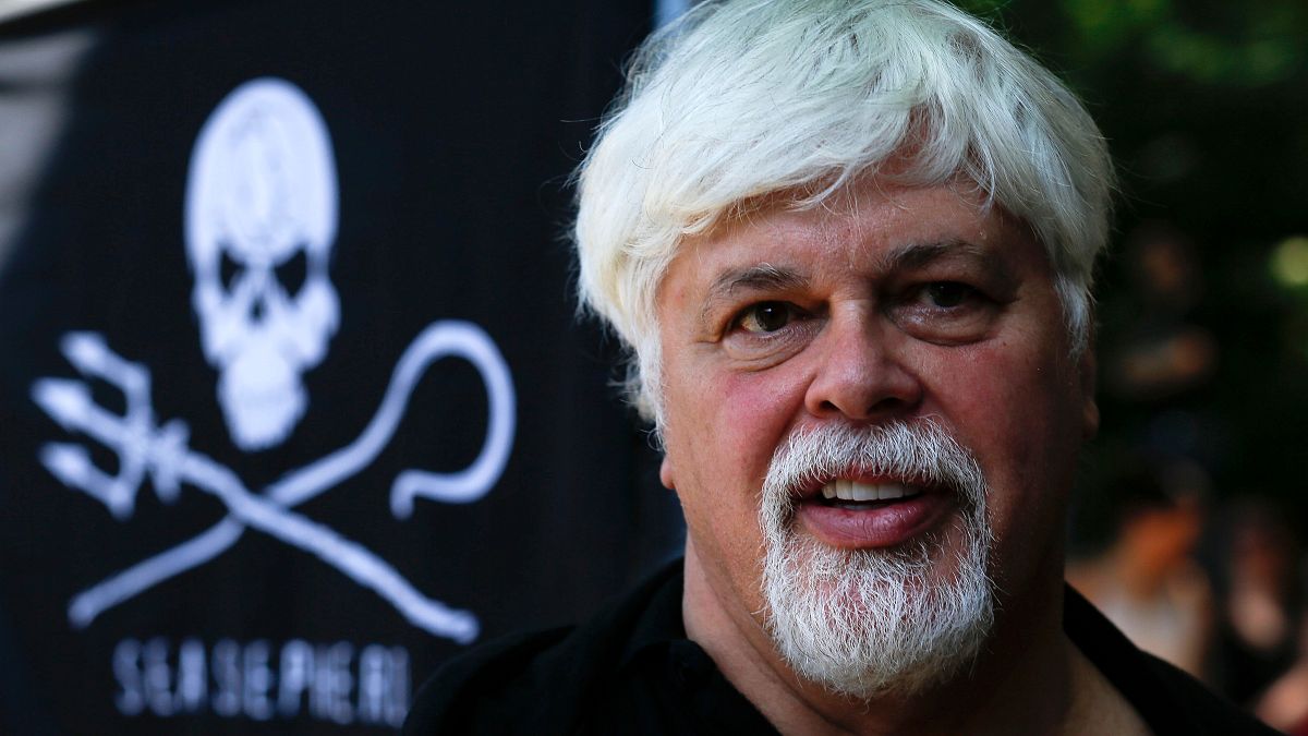 Anti-whaling activist Paul Watson seeks political asylum in France to avoid extradition to Japan