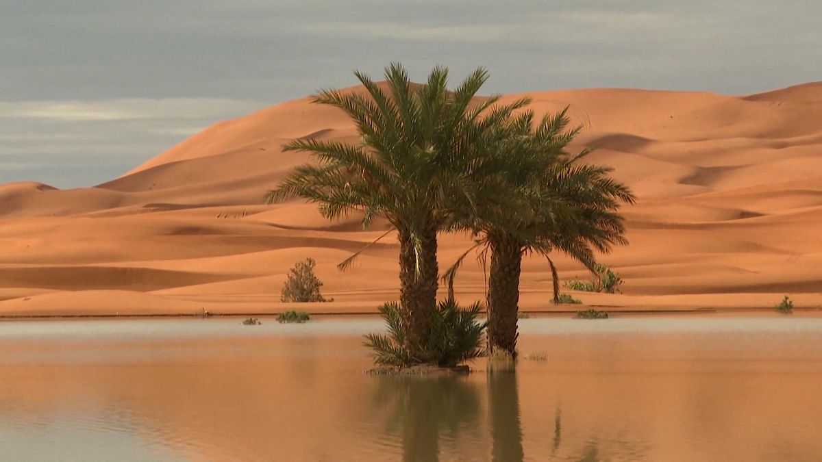 لا تعليق: بعد سنين عجاف.. عودة الحياة إلى بحيرات المغرب  في مشاهد خلابة ساحرة