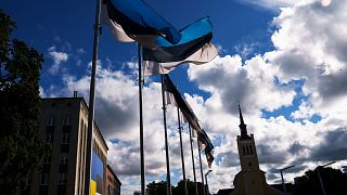 Piazza della Libertà a Tallinn, Estonia