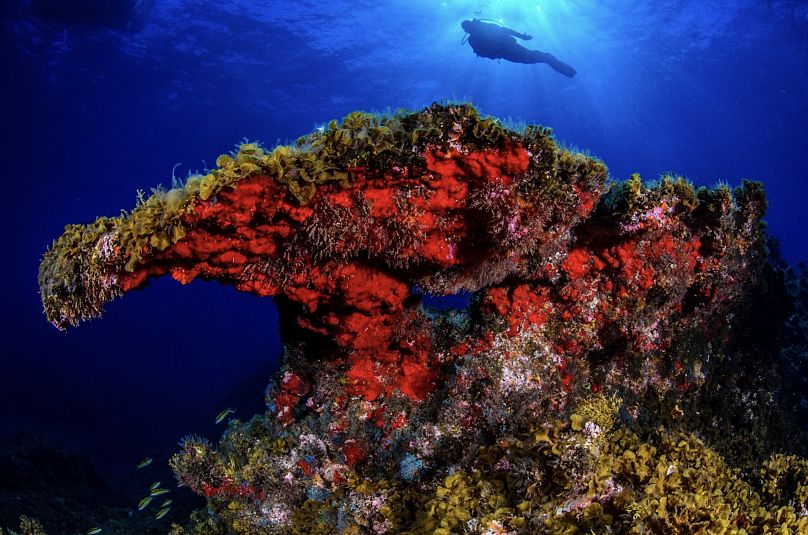Punta Restinga marina reserve, Mar de Las Calmas, El Hierro