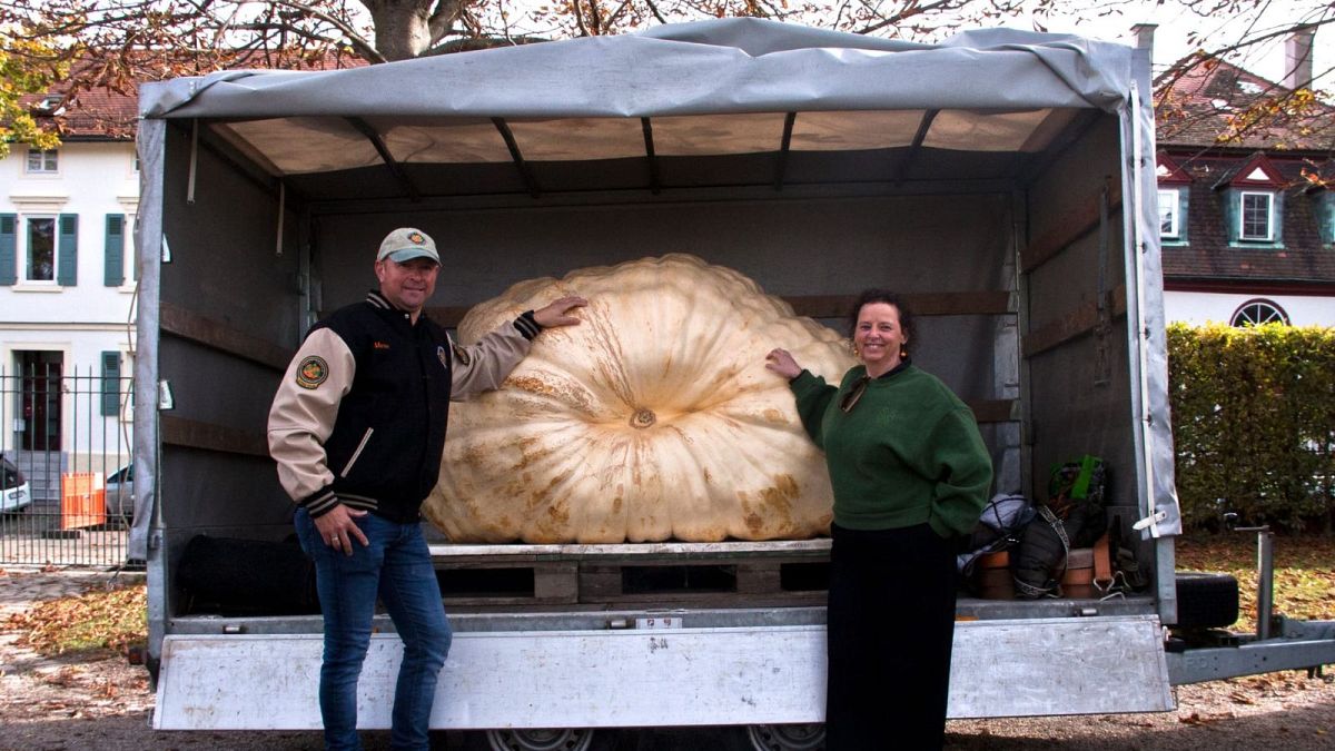 Inside the fairytale town where giant pumpkins become sailboats