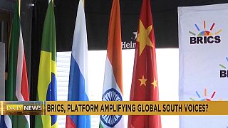 Les BRICS, un contre-poids à l'ordre mondial?