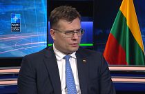 Ukraine must be allowed into NATO, Lithuanian defence minister tells Euronews