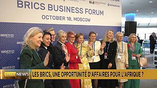 Les BRICS, une opportunité d'affaires pour l'Afrique?