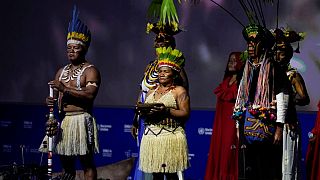 Delegates meet in Colombia to address global biodiversity crisis