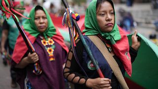 COP16: Indigenous Colombians support  ‘Biodiversity Action Plan’ to 2030