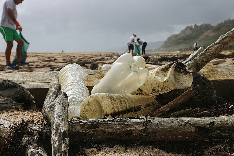 Plastic water bottles which aren't recycled can end up in our oceans, causing untold environmental damage