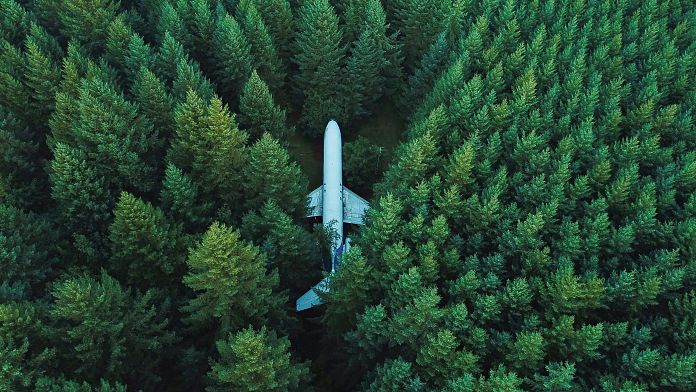Perché scegliere di compensare le emissioni di carbonio del tuo volo non è sempre l'opzione più ecologica 1 696x392 cmsv2 19b84601 ac7f 5b41 a0a1 83e04db4c663 8805698