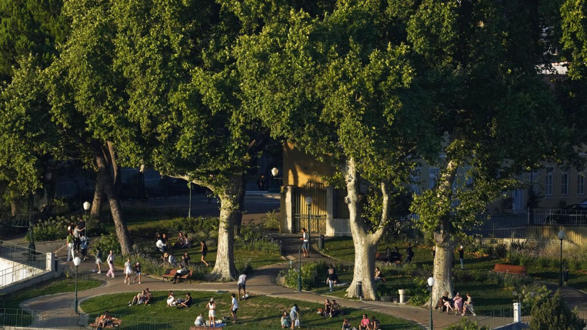 Green space in cities helps mitigate health effects of extreme heat, study finds