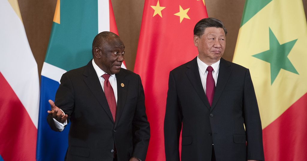 South African Minister of International Relations hails ties with China, ahead of BRICS summit