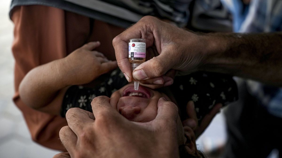 Polio vaccine campaign in northern Gaza postponed due to 'escalating violence'