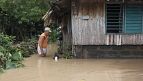 No Comment : le crocodile du Siam repeuple le Cambodge