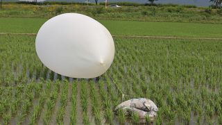 FILE: Un pallone aerostatico inviato dalla Corea del Nord viene visto in una risaia a Incheon, Corea del Sud, 10 giugno 2024