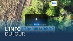 L’info du jour | 28 octobre - Soir