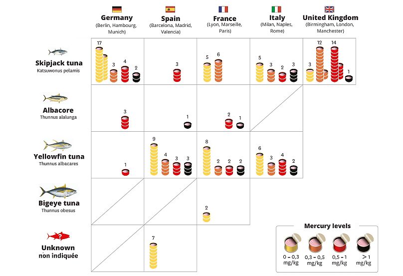 The NGO analysed nearly 150 cans of tuna from five European countries: Germany, the United Kingdom, Spain, France, and Italy. All of the products contained mercury.