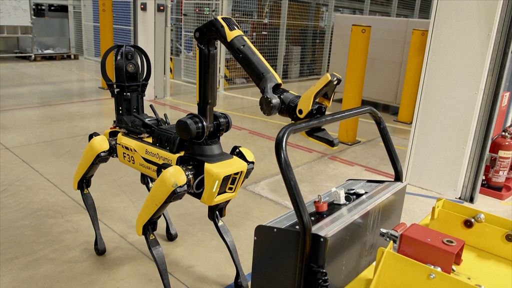 Vidéo. No Comment. Rover, le chien robot intelligent | Euronews