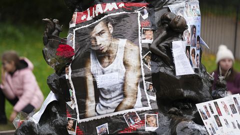 Posthumous Liam Payne song postponed 