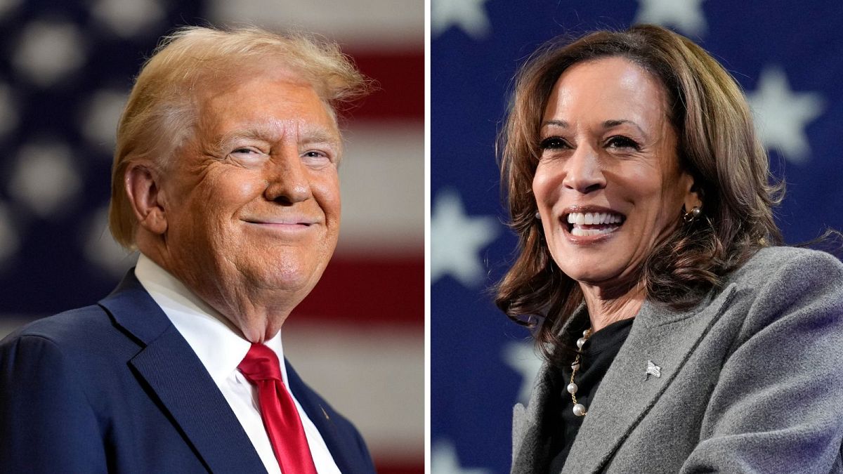 US Presidential Election: Harris and Trump make final pitches to voters in swing states