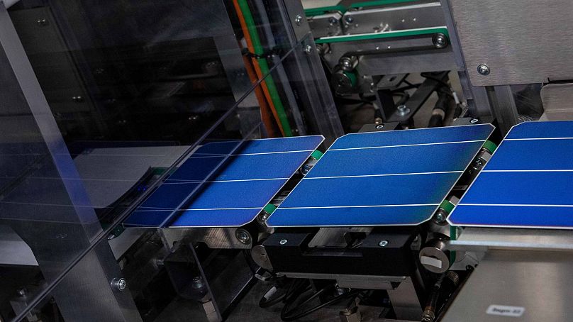 Perovskite-on-silicon cells being produced at the Brandenburg factory.