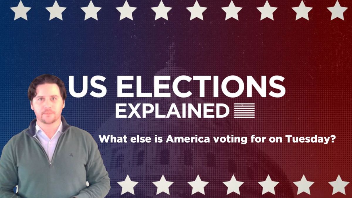 US election explained: What else is America voting for on Tuesday?