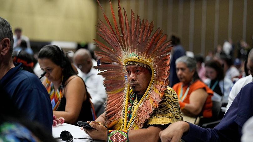 An Indigenous Brazilian delegate attends the opening ceremony of COP16 in Cali, Colombia, 20 October. 