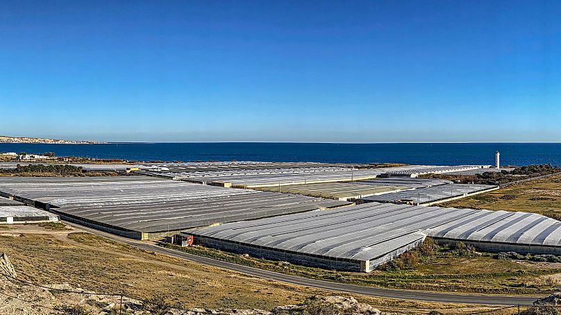 Agricultural greenhouses in Almería, Spain